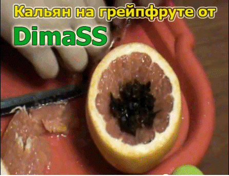 Кальян на грейпфруте от Dimass Кальян на грейпфруте от Dimass